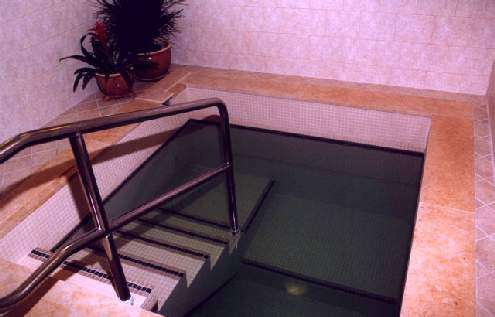 Mikvah Mei Menachem